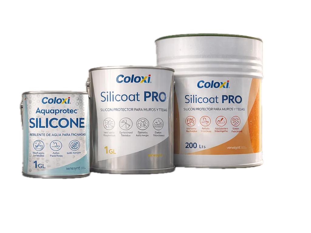 Fachada intervenida con sistema de protección Coloxi